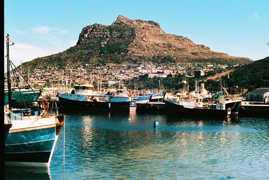 Båtturer i Cape Town: En Oppdagelsesreise til Sjøs